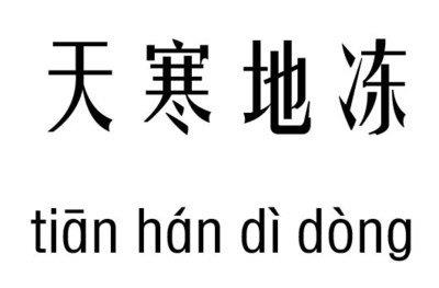 什么天什么地的成语有
