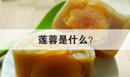 莲蓉是什么