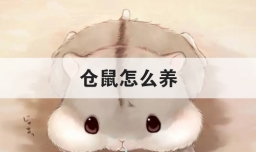 仓鼠怎么养