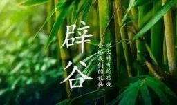 辟谷的危害