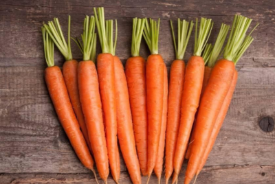 孩子早餐吃什么营养又长高