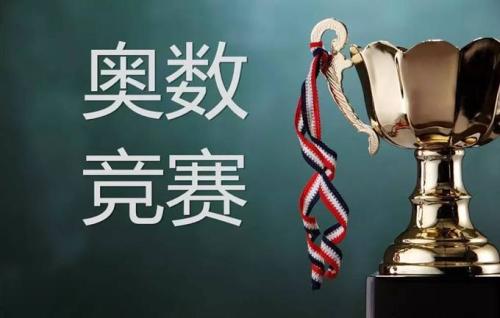 奥数是什么意思