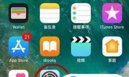 苹果ios12怎么打开，关闭旁白模式