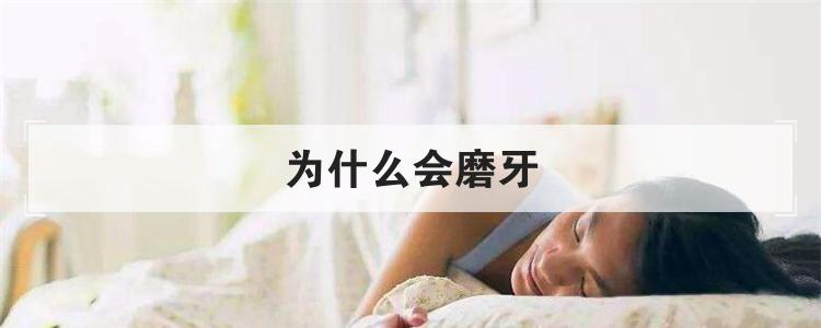 为什么会磨牙