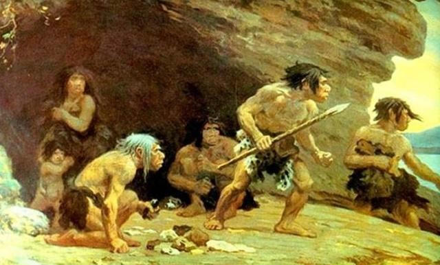 作为高等动物的人类大约出现在多少万年前