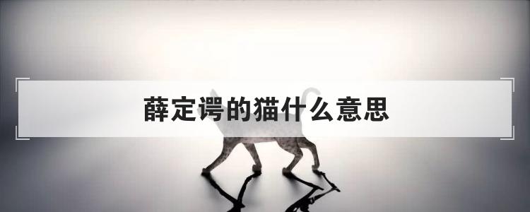 薛定谔的猫什么意思