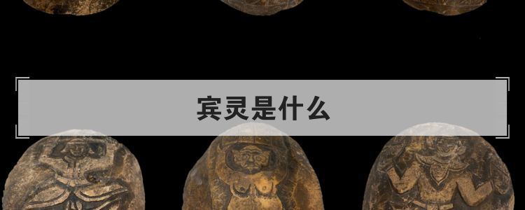 宾灵是什么
