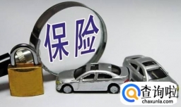 新车保险都需要上哪些
