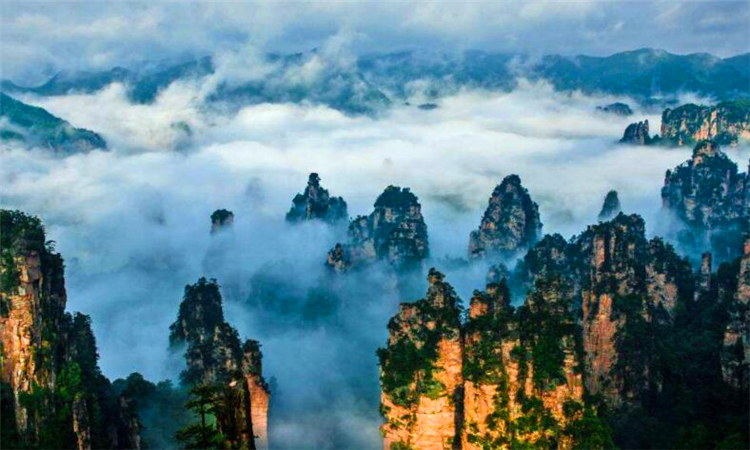 张家界在哪个省