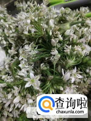 韭菜花的做法br