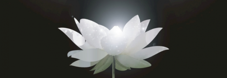 白莲什么意思
