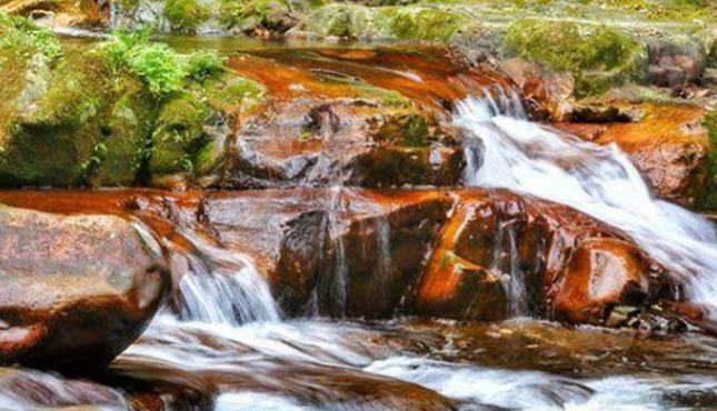 张家界旅游攻略