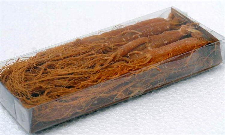 女人吃红参的好处