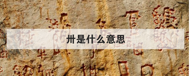 卅是什么意思