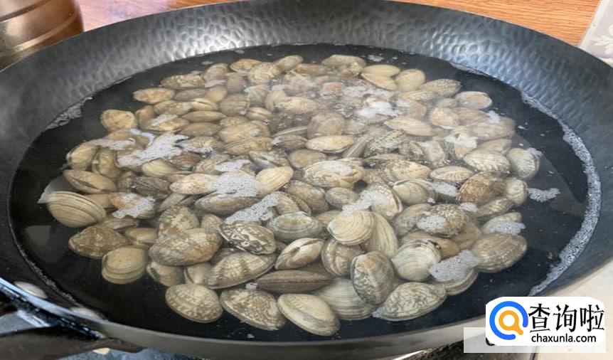 文蛤怎么清洗里面的沙子合适