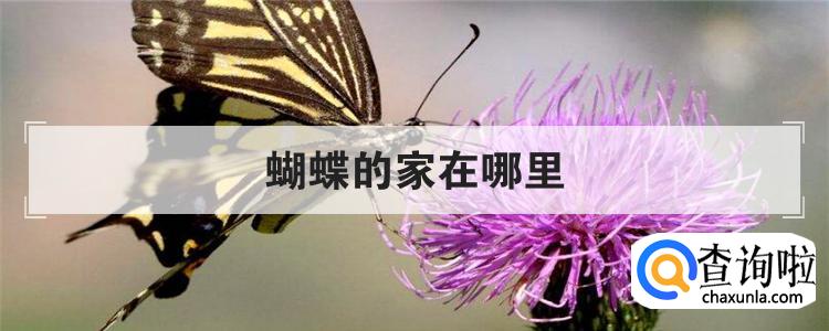 蝴蝶的家在哪里