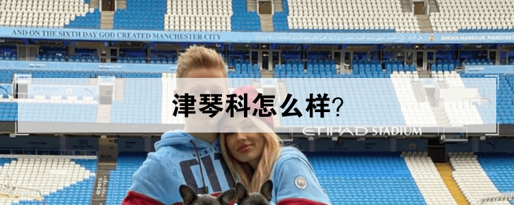 津琴科怎么样？