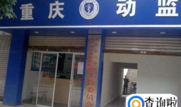 宠物空运宠物航空托运