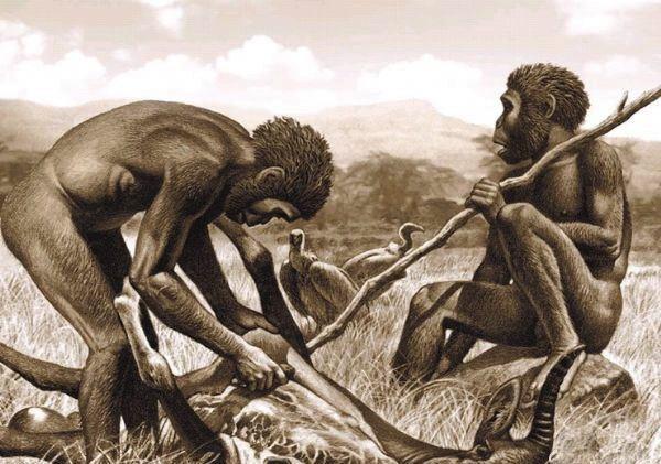 作为高等动物的人类大约出现在多少万年前