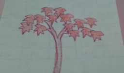 儿童简笔画小枫树的画法