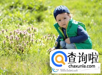 郑姓男孩起名字大全