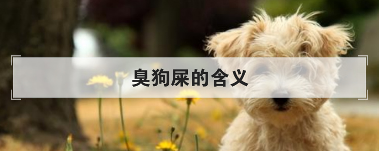 臭狗屎的含义