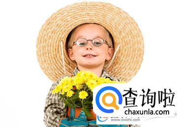 贾姓男孩起名,贾姓男孩起名字大全 