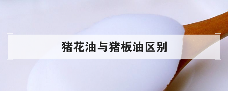 猪花油与猪板油区别