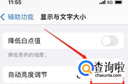 苹果手机屏幕暗如何调