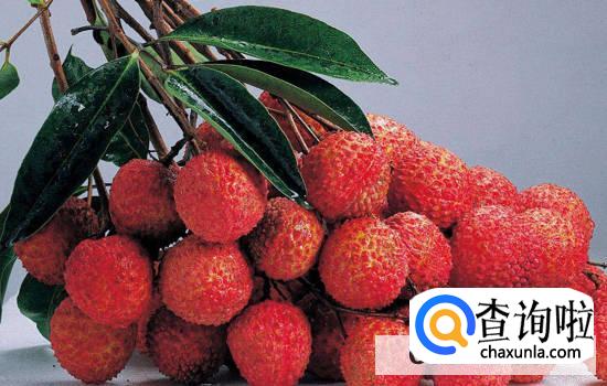 吃什么水果比较容易上火