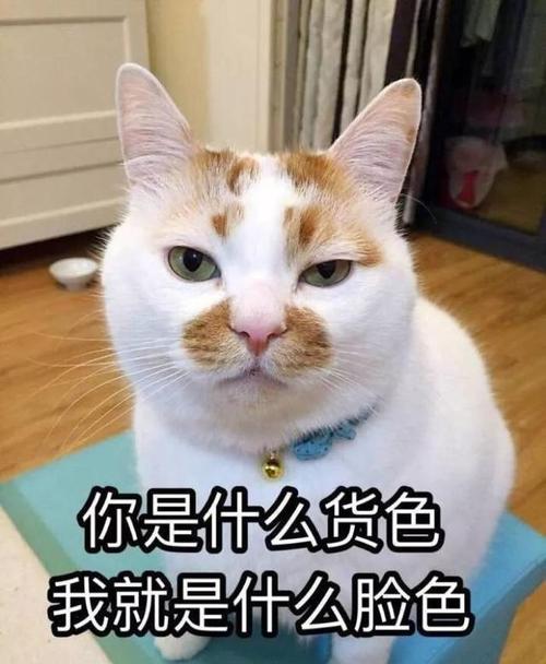 diss什么意思