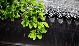苏州梅雨季节