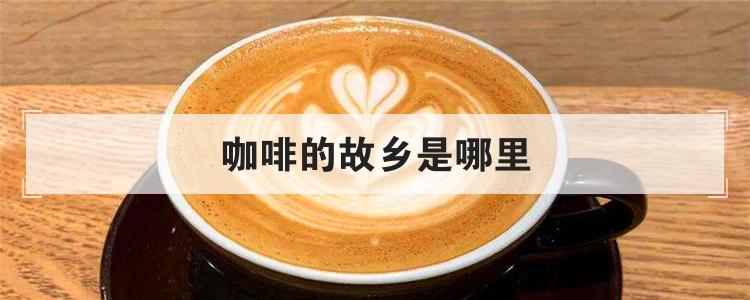 咖啡的故乡是哪里