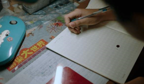 我要把你写进日记里是什么梗