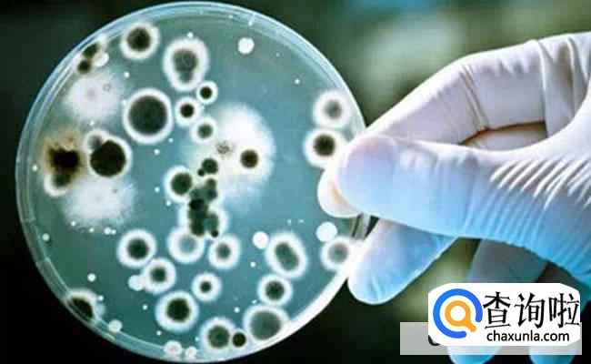 如何减少雾霾对人的危害