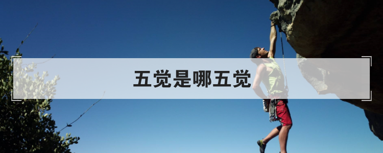 五觉是哪五觉