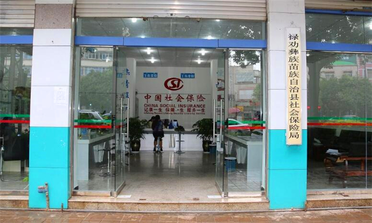 五险是哪五险