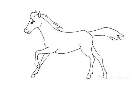 马的简笔画