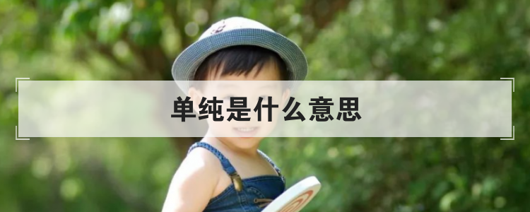 单纯是什么意思