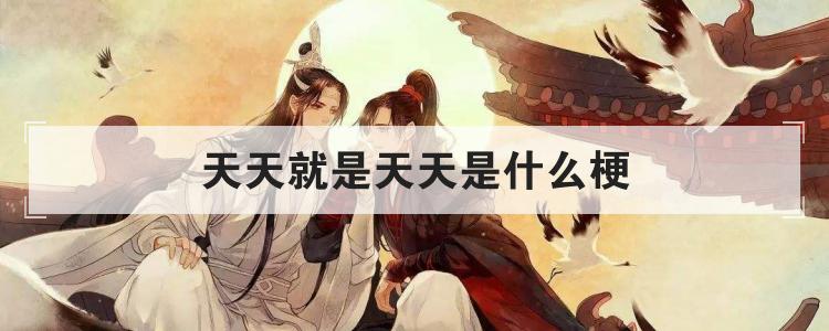 天天就是天天是什么梗