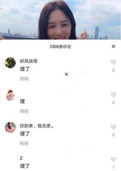 埋了是什么梗