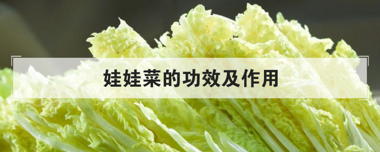 娃娃菜的功效及作用
