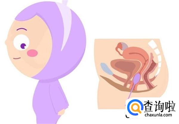 怎么样能生男孩的机率大