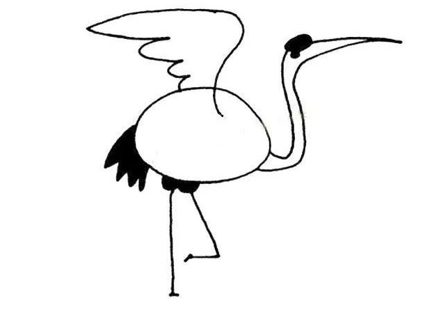 丹顶鹤简笔画