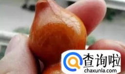 葫芦盘玩方法