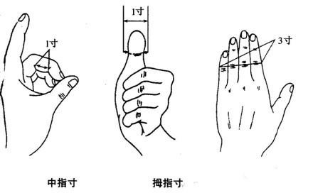 一寸的多少厘米