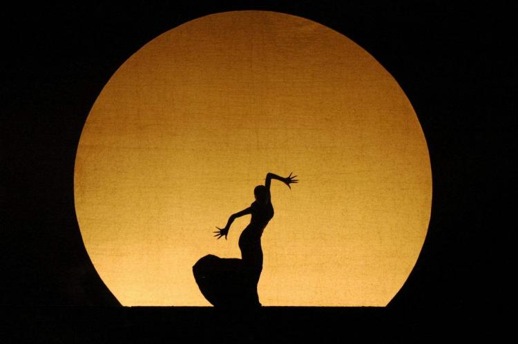 孔雀舞是哪个民族的舞蹈