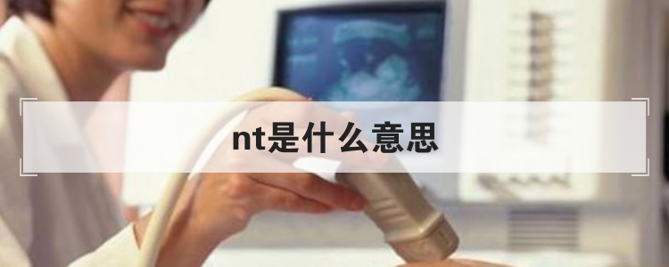 nt是什么意思