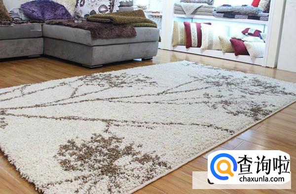 地毯清洗：怎样除去地毯上的汤汁