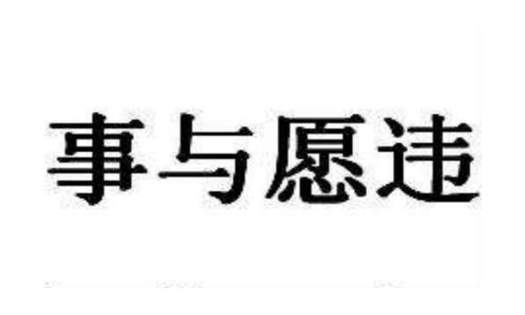 事与愿违什么意思
